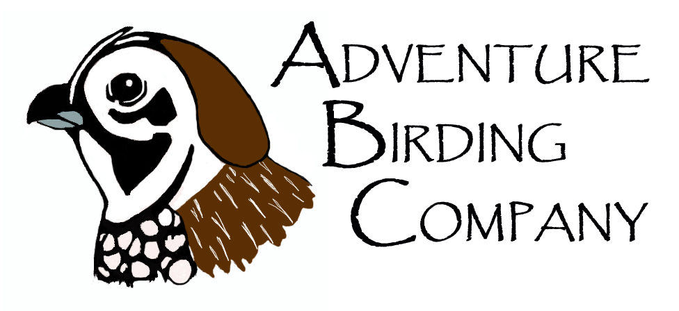 Adventure Birding logo